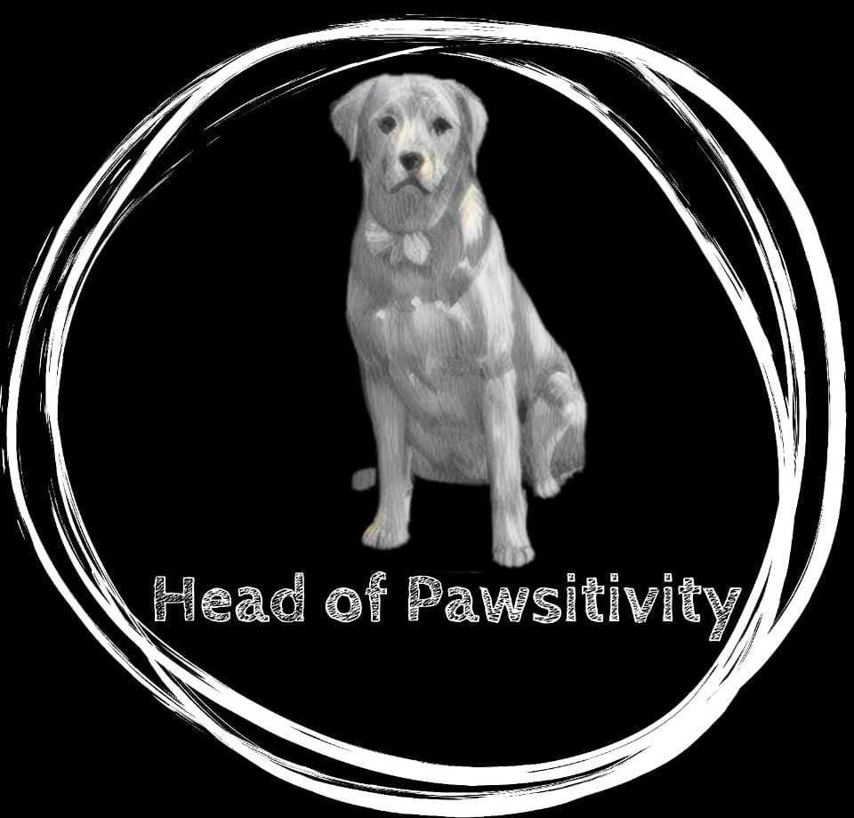 head-of-paw