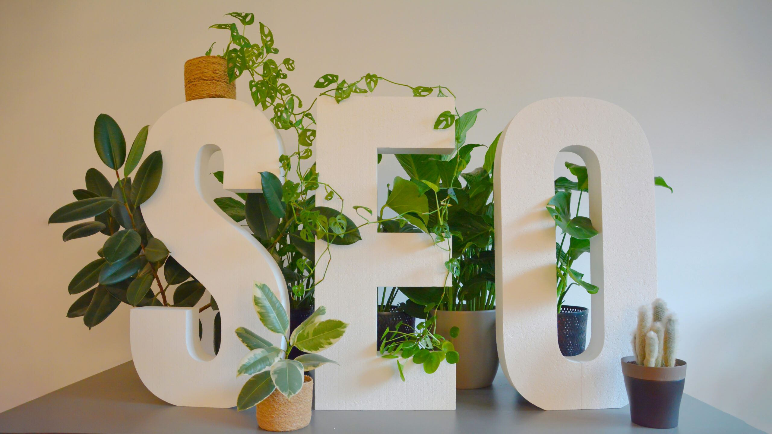 SEO letters surrounded by green plants, representing the growth of online visibility.